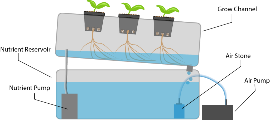 How Does Nutrient Film Technique Work? - LOCUS Growers