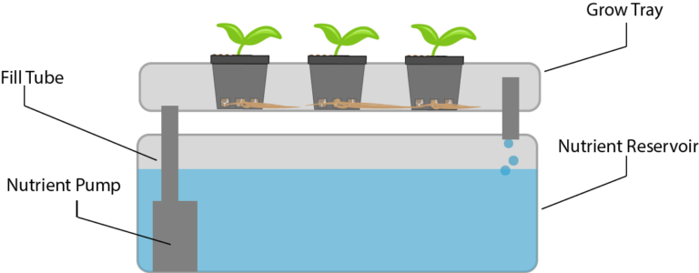 How Does an Ebb and Flow System Work? - LOCUS Growers